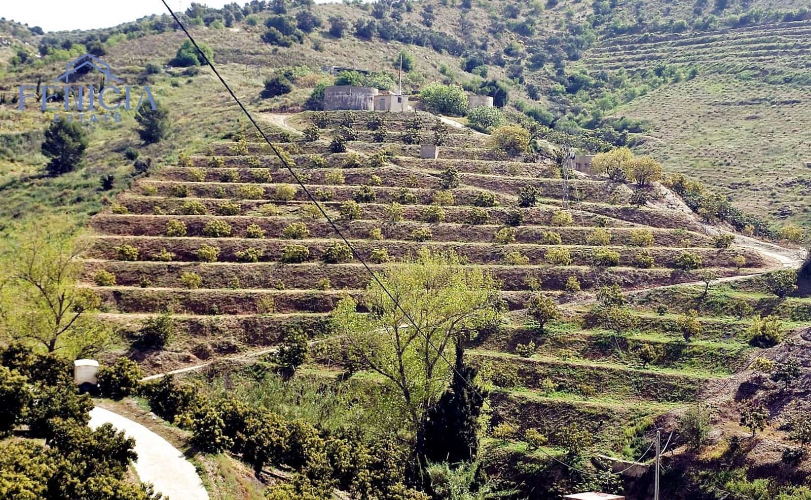 Finka/Dom wiejski na sprzedaż w Itrabo - 125 000 € (Ref: 9788019)