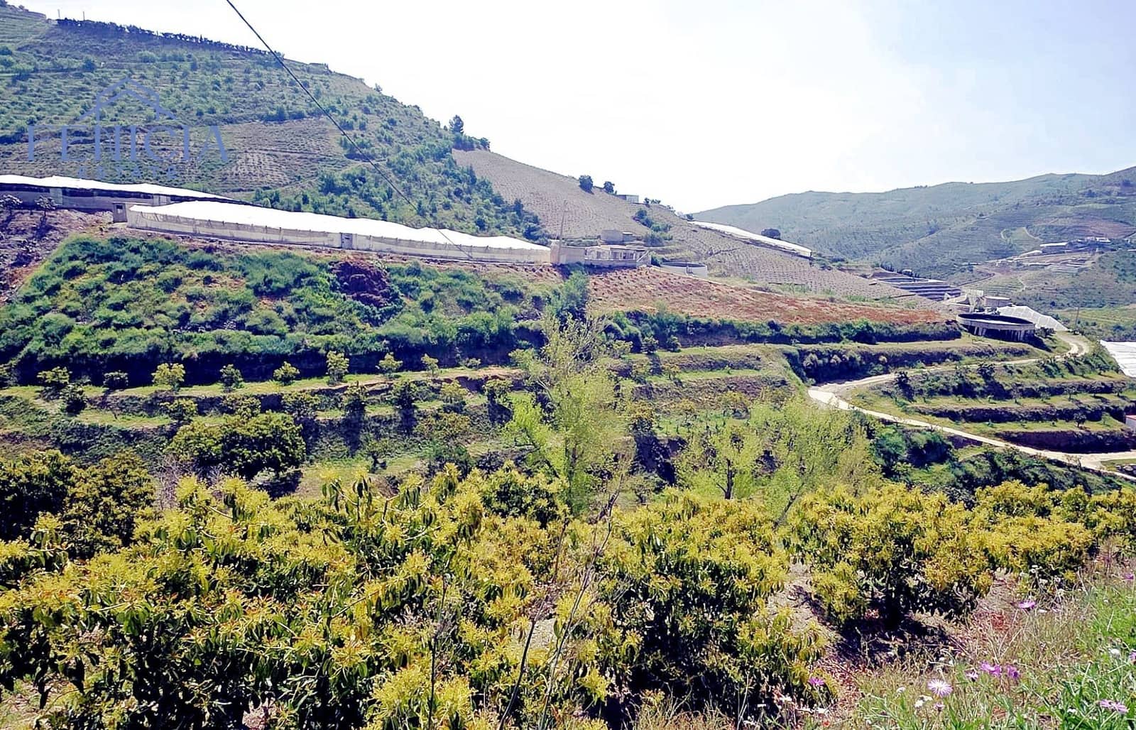 Finka/Dom wiejski na sprzedaż w Itrabo - 125 000 € (Ref: 9788019)