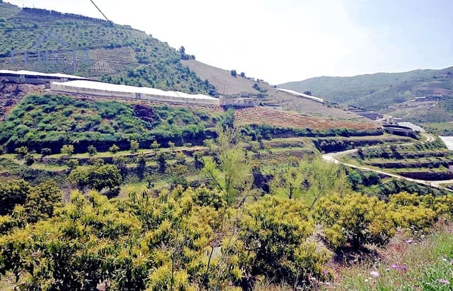 Finca/Landehus til salg i Itrabo - € 125.000 (Ref: 9788019)