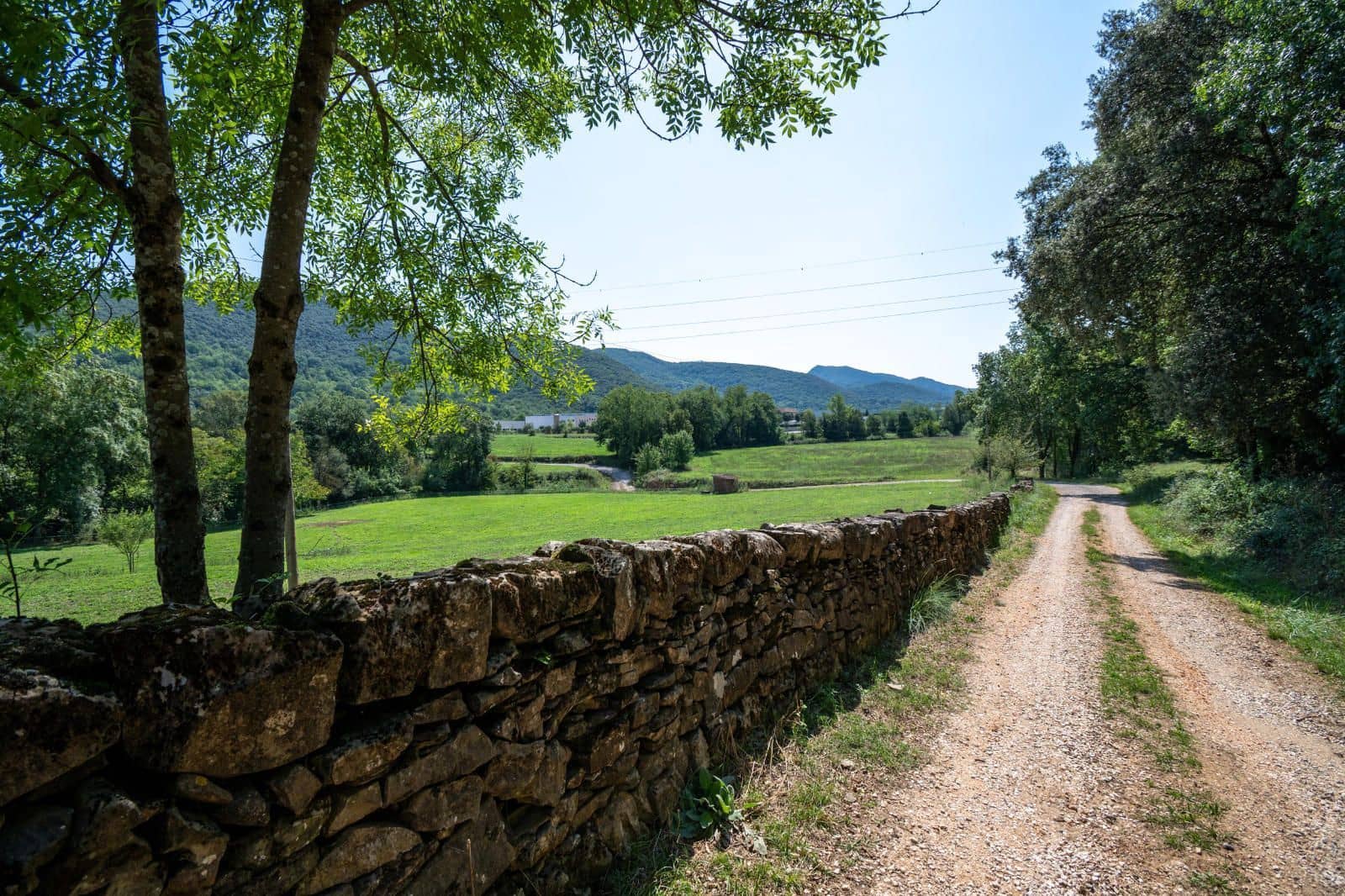 7 camera da letto Finca/Casa di Campagna in vendita in Sant Joan les Fonts con piscina - 790.000 € (Rif: 10078513)