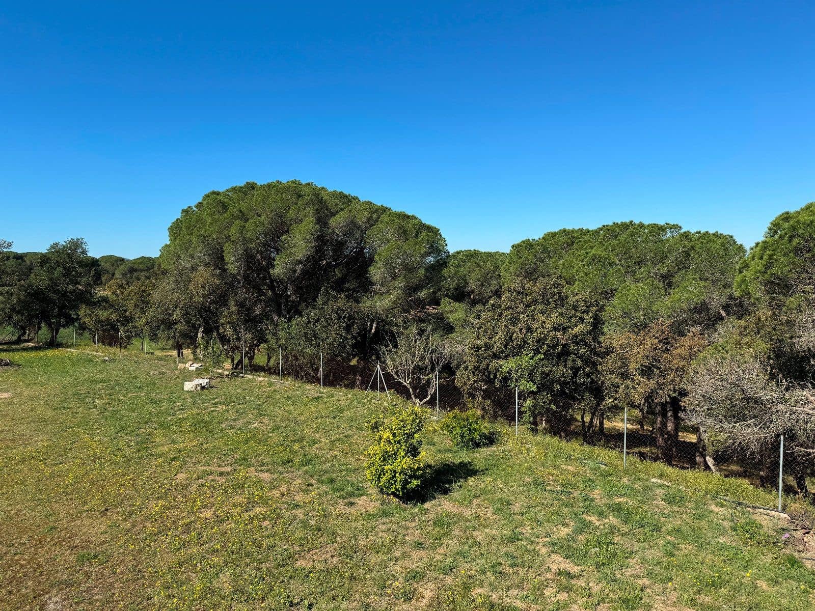 5 slaapkamer Villa te koop in Llagostera - € 950.000 (Ref: 8663724)