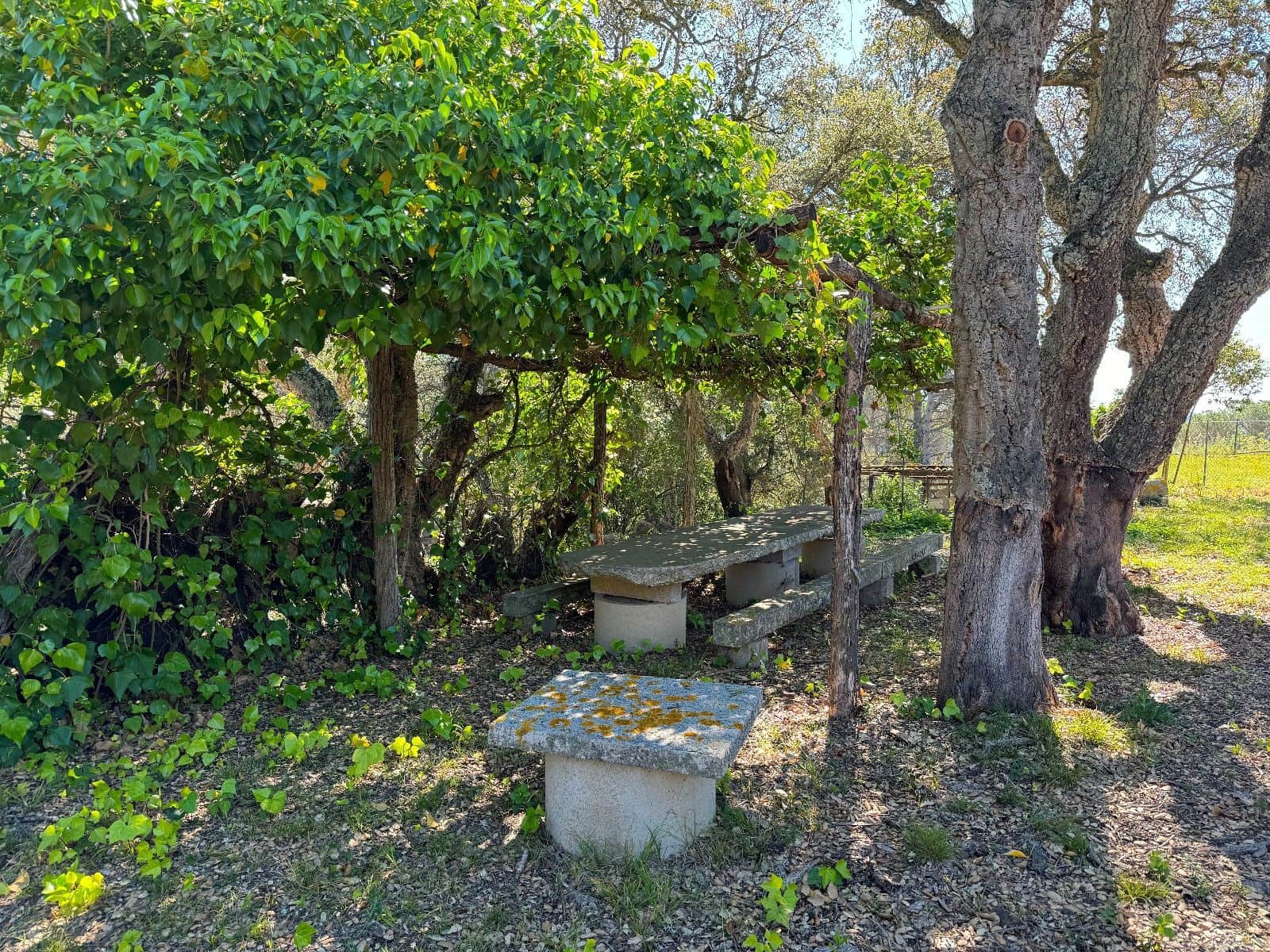 5 slaapkamer Villa te koop in Llagostera - € 950.000 (Ref: 8663724)