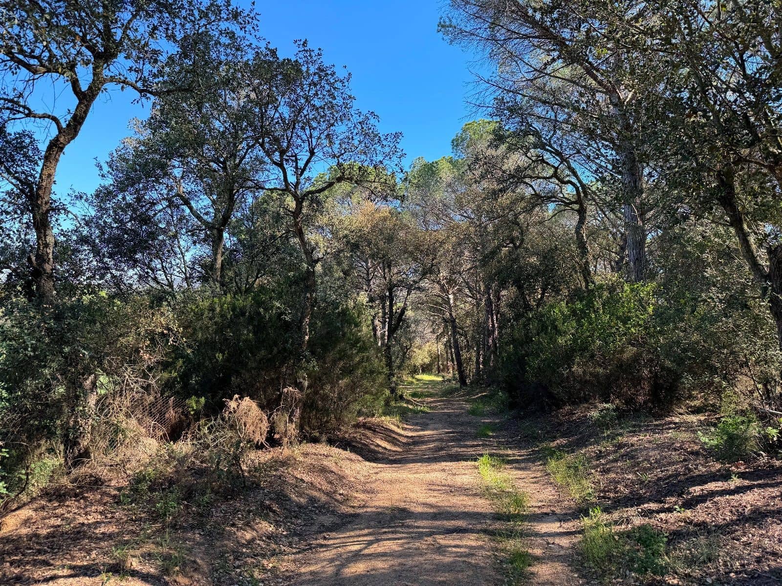 5 slaapkamer Villa te koop in Llagostera - € 950.000 (Ref: 8663724)