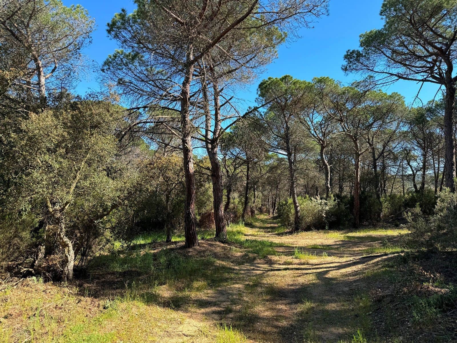 5 slaapkamer Villa te koop in Llagostera - € 950.000 (Ref: 8663724)