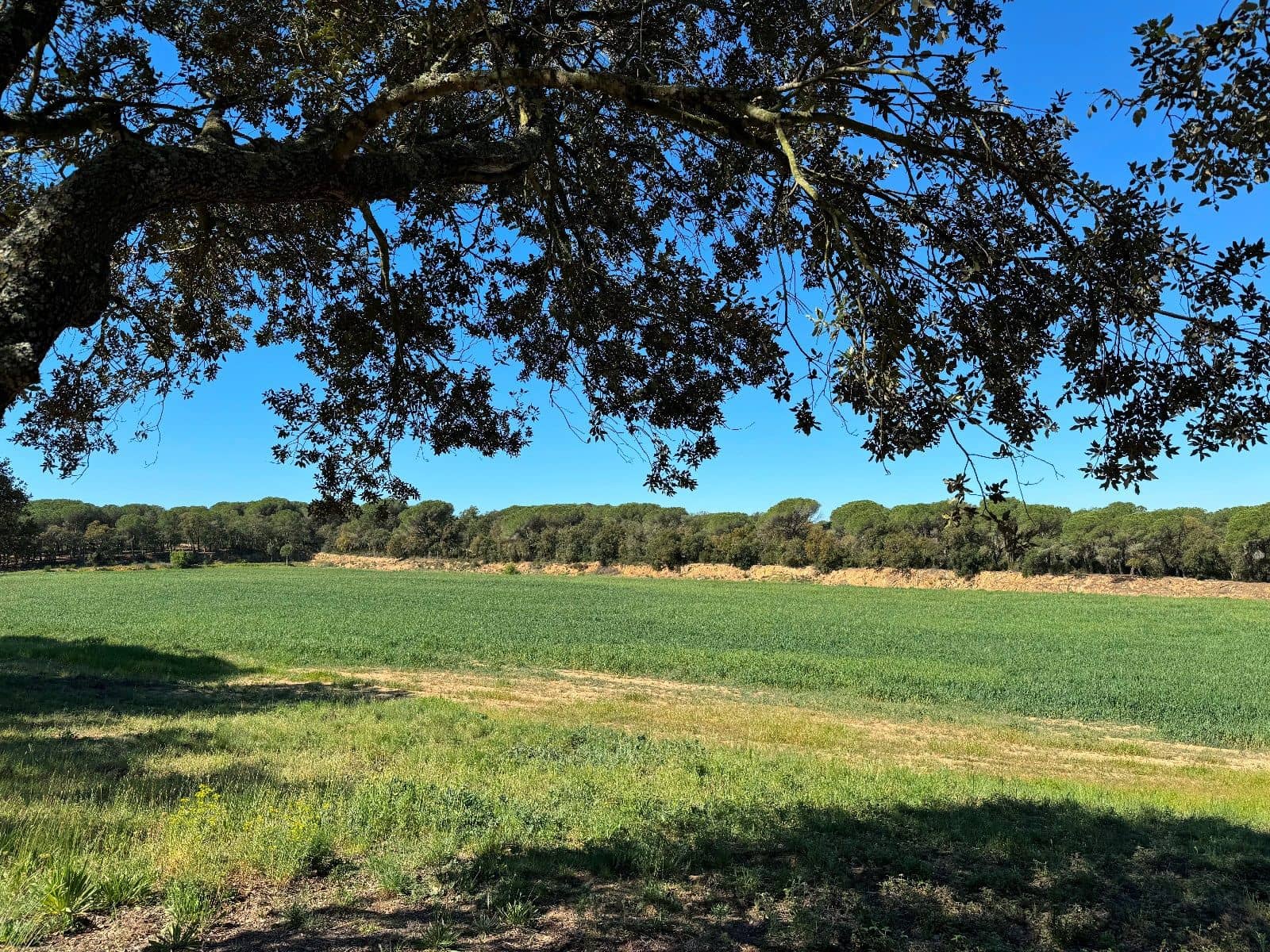 5 slaapkamer Villa te koop in Llagostera - € 950.000 (Ref: 8663724)