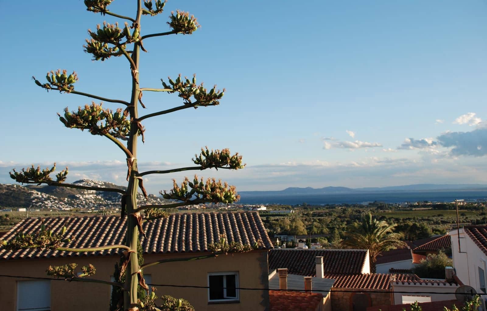 5 soverom Villa til salgs i El Mas Fumats med svømmebasseng garasje - € 749 000 (Ref: 9085920)