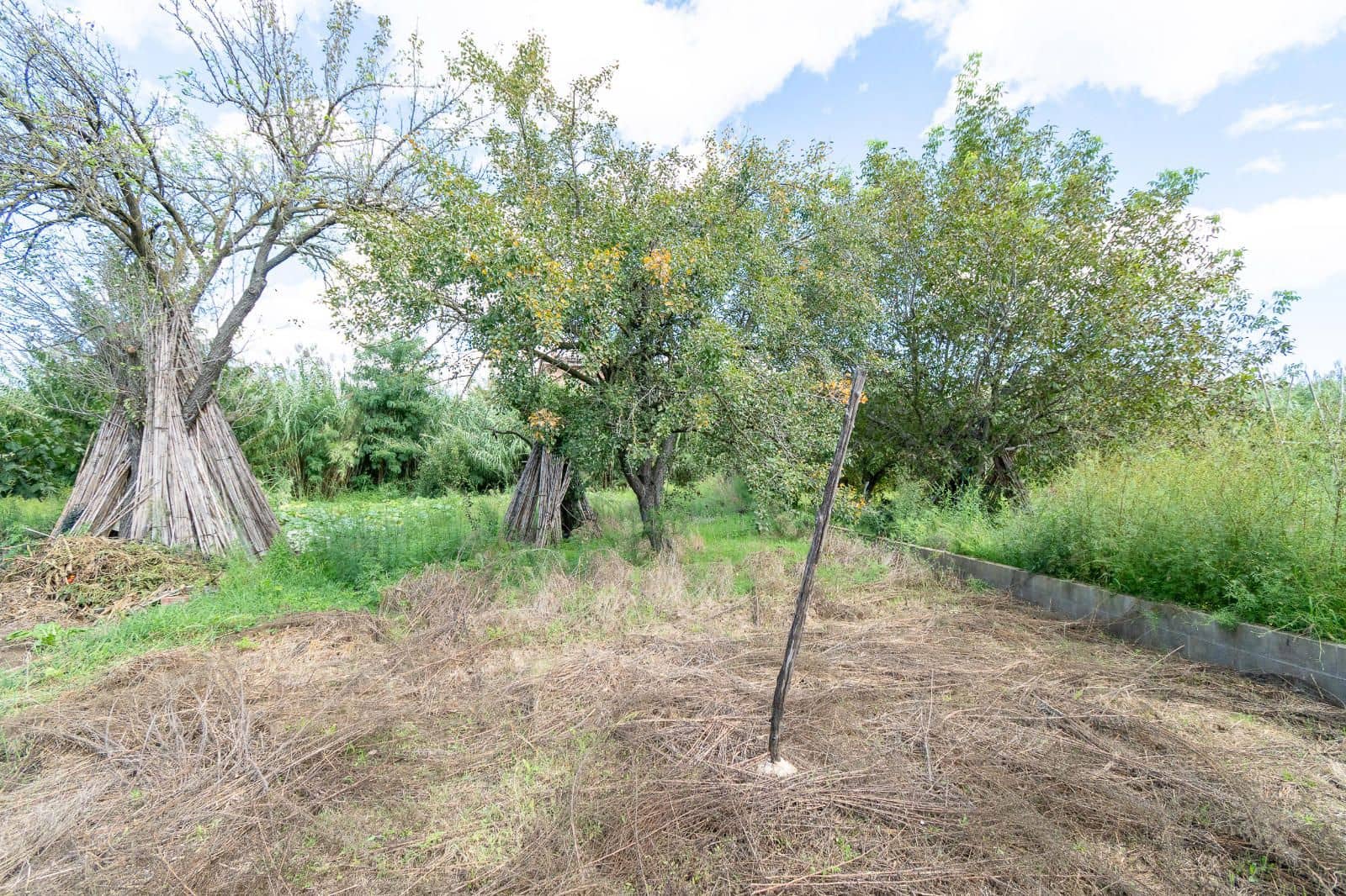 4 soveværelse Byhus til salg i Cassa de la Selva - € 219.000 (Ref: 9267647)