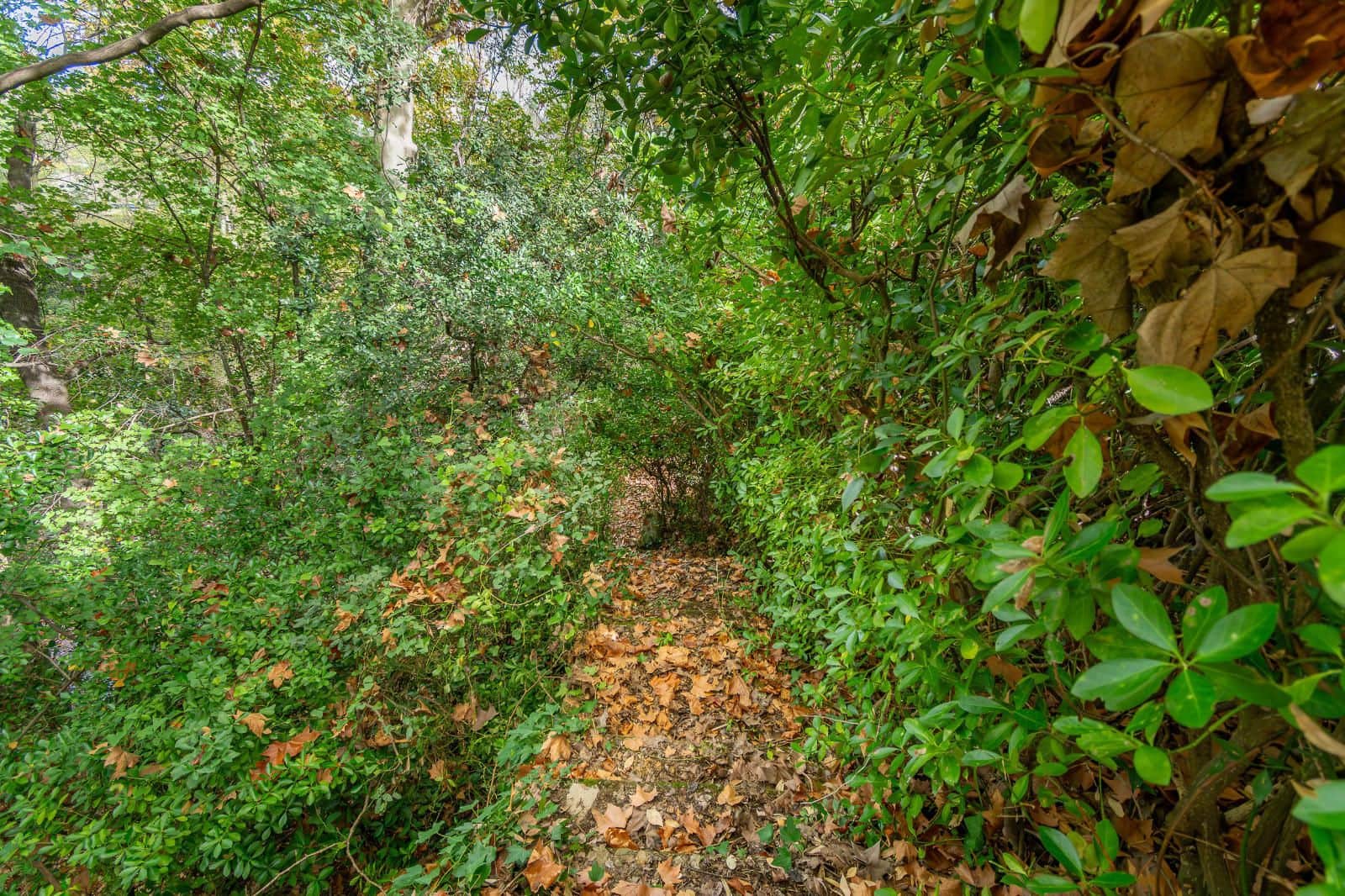 4 slaapkamer Villa te koop in Sant Llorenc de la Muga met garage - € 385.000 (Ref: 9375573)