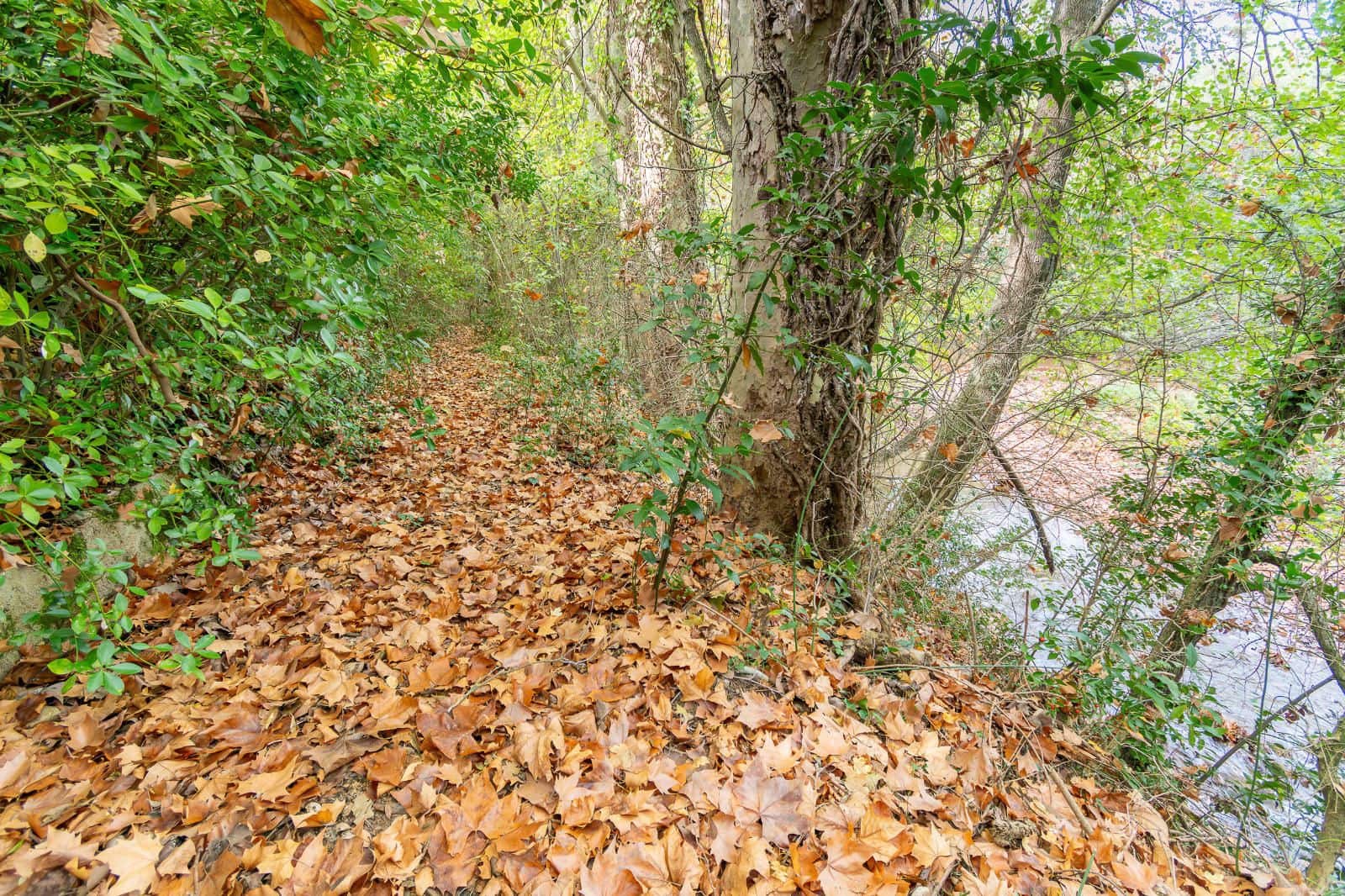 4 slaapkamer Villa te koop in Sant Llorenc de la Muga met garage - € 385.000 (Ref: 9375573)