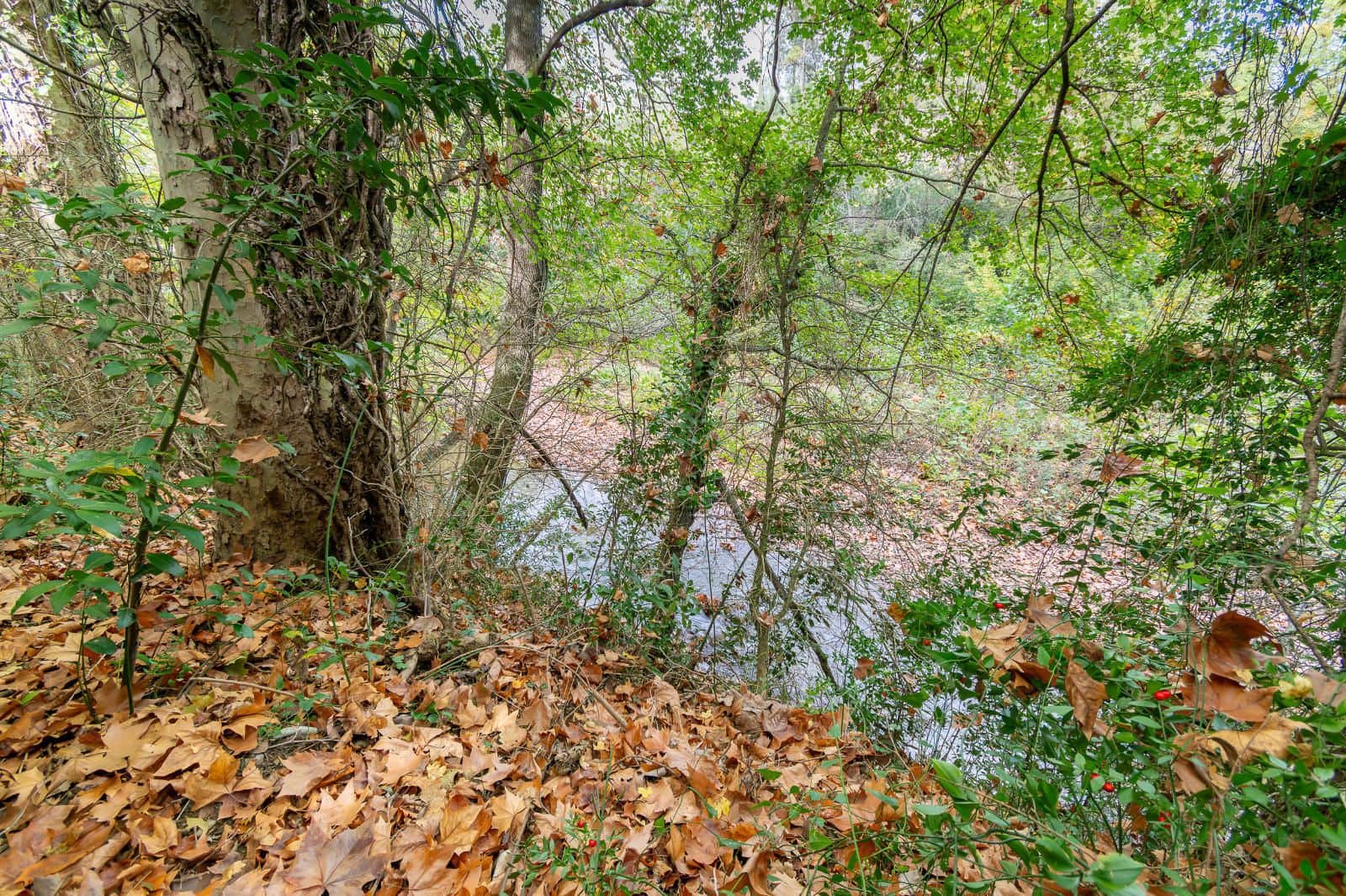 4 slaapkamer Villa te koop in Sant Llorenc de la Muga met garage - € 385.000 (Ref: 9375573)