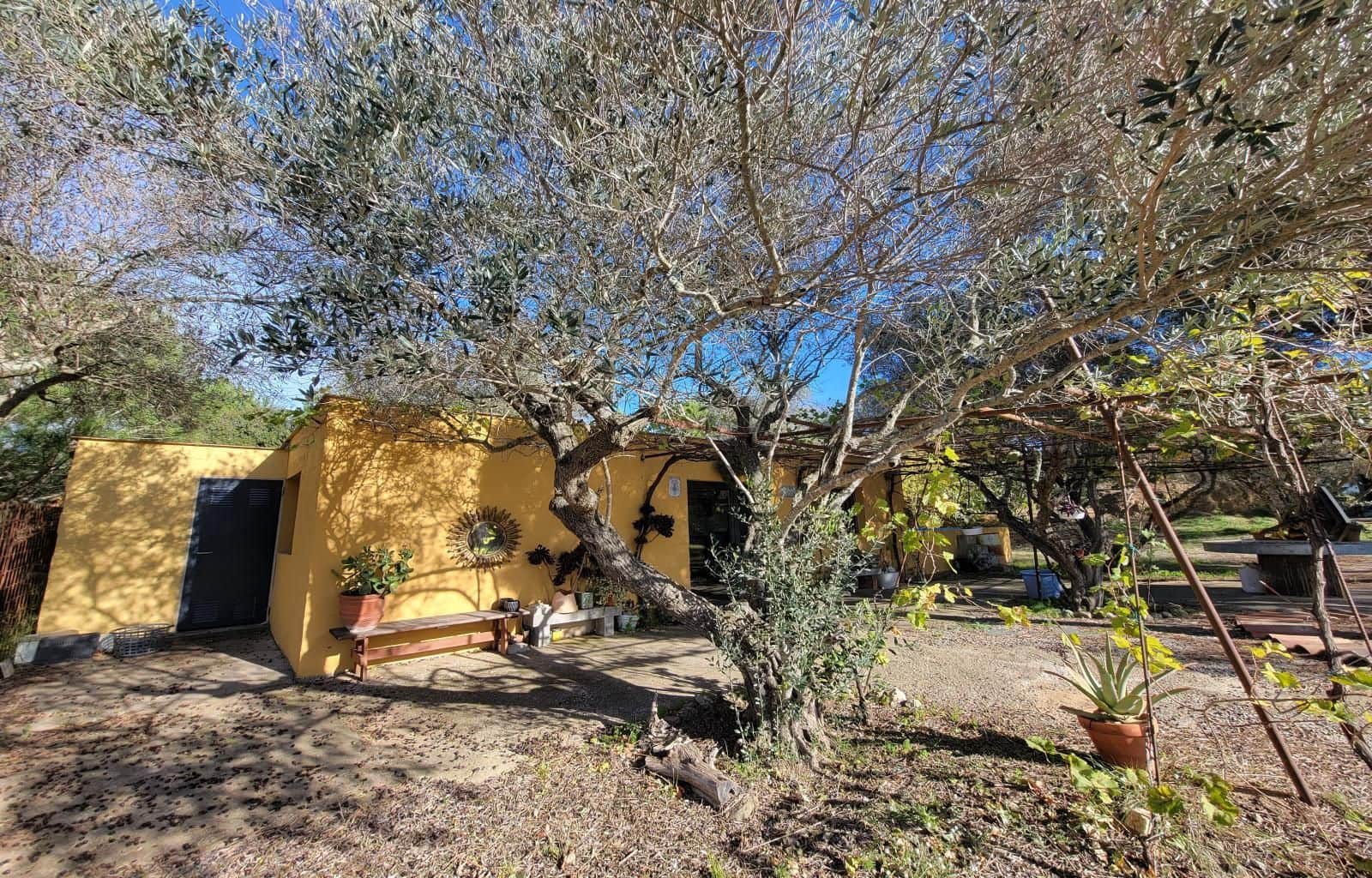 Tomt till salu i Peralada - 320 000 € (Ref: 9449564)