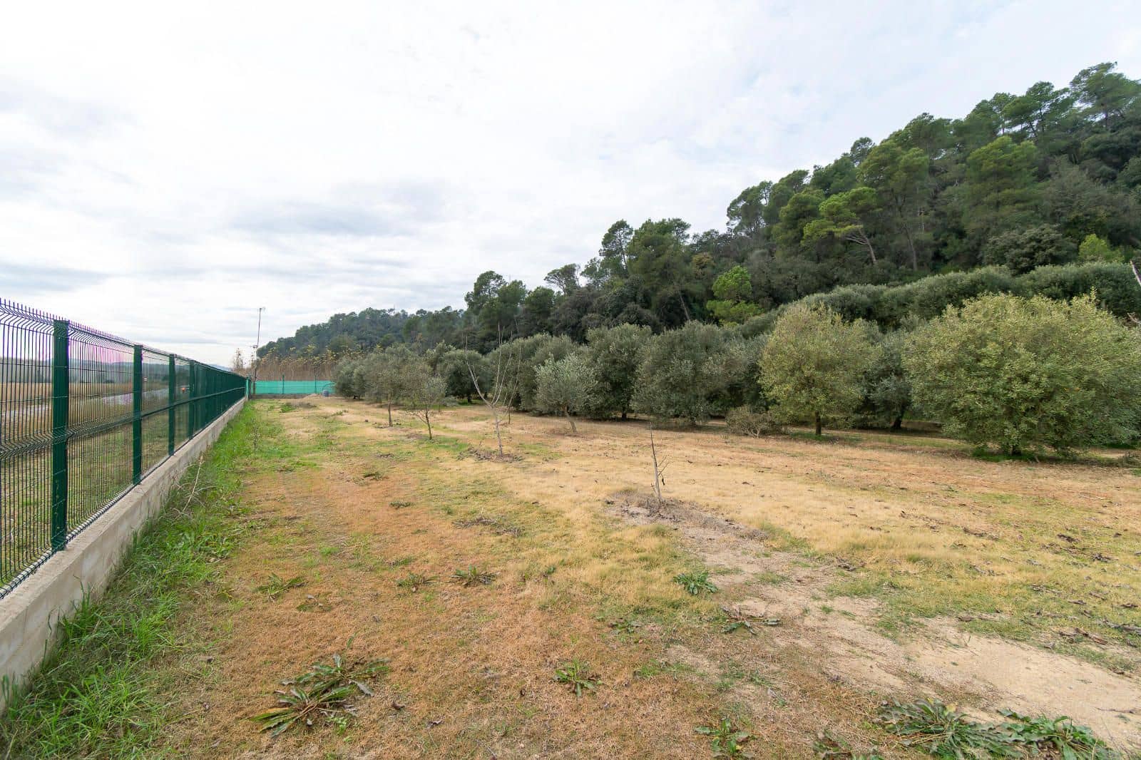 5 chambre Villa/Maison à vendre à Cervia de Ter - 550 000 € (Ref: 9453449)