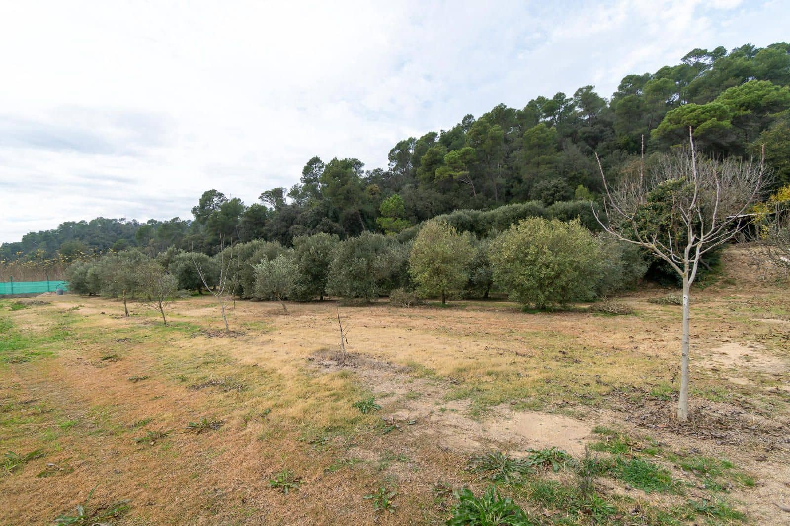 5 chambre Villa/Maison à vendre à Cervia de Ter - 550 000 € (Ref: 9453449)