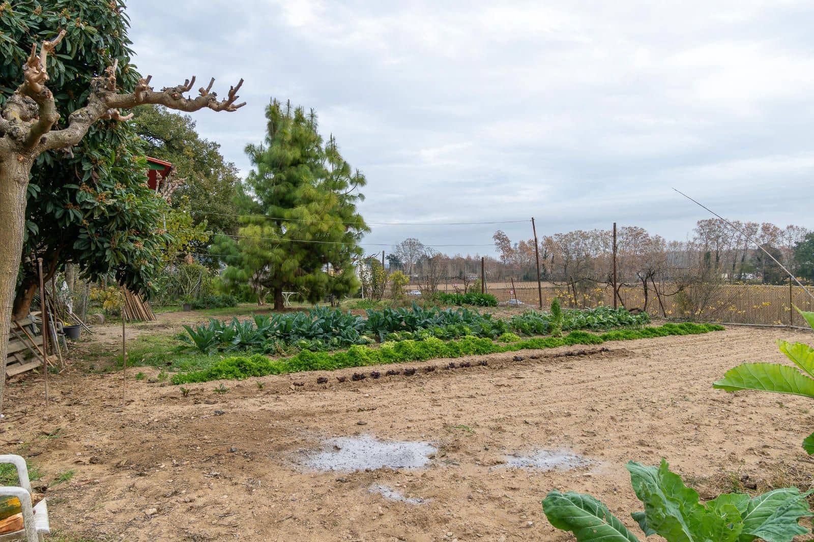 5 chambre Villa/Maison à vendre à Cervia de Ter - 550 000 € (Ref: 9453449)