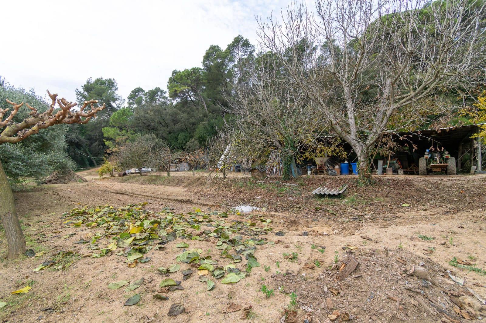 5 chambre Villa/Maison à vendre à Cervia de Ter - 550 000 € (Ref: 9453449)