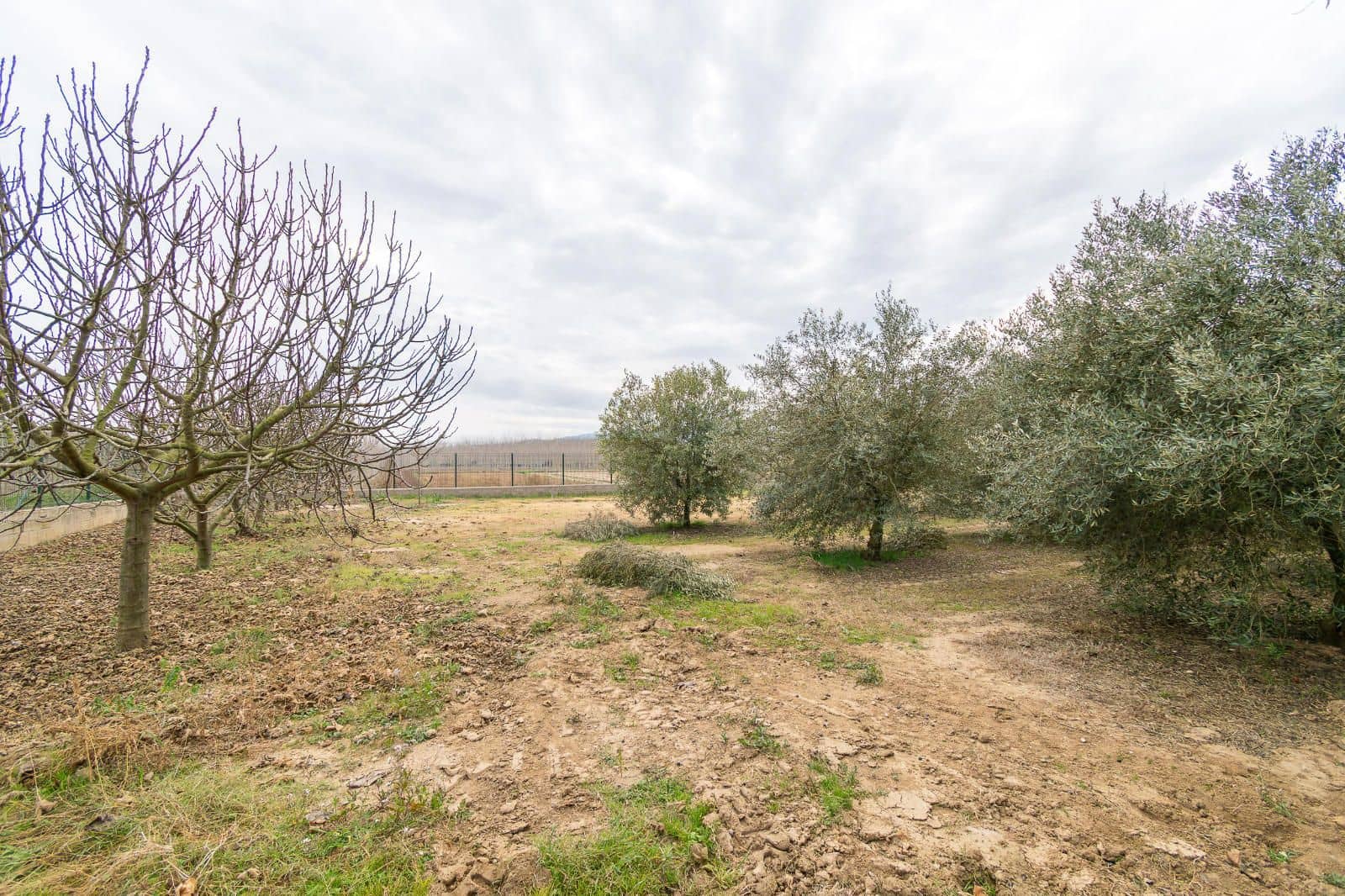 5 chambre Villa/Maison à vendre à Cervia de Ter - 550 000 € (Ref: 9453449)