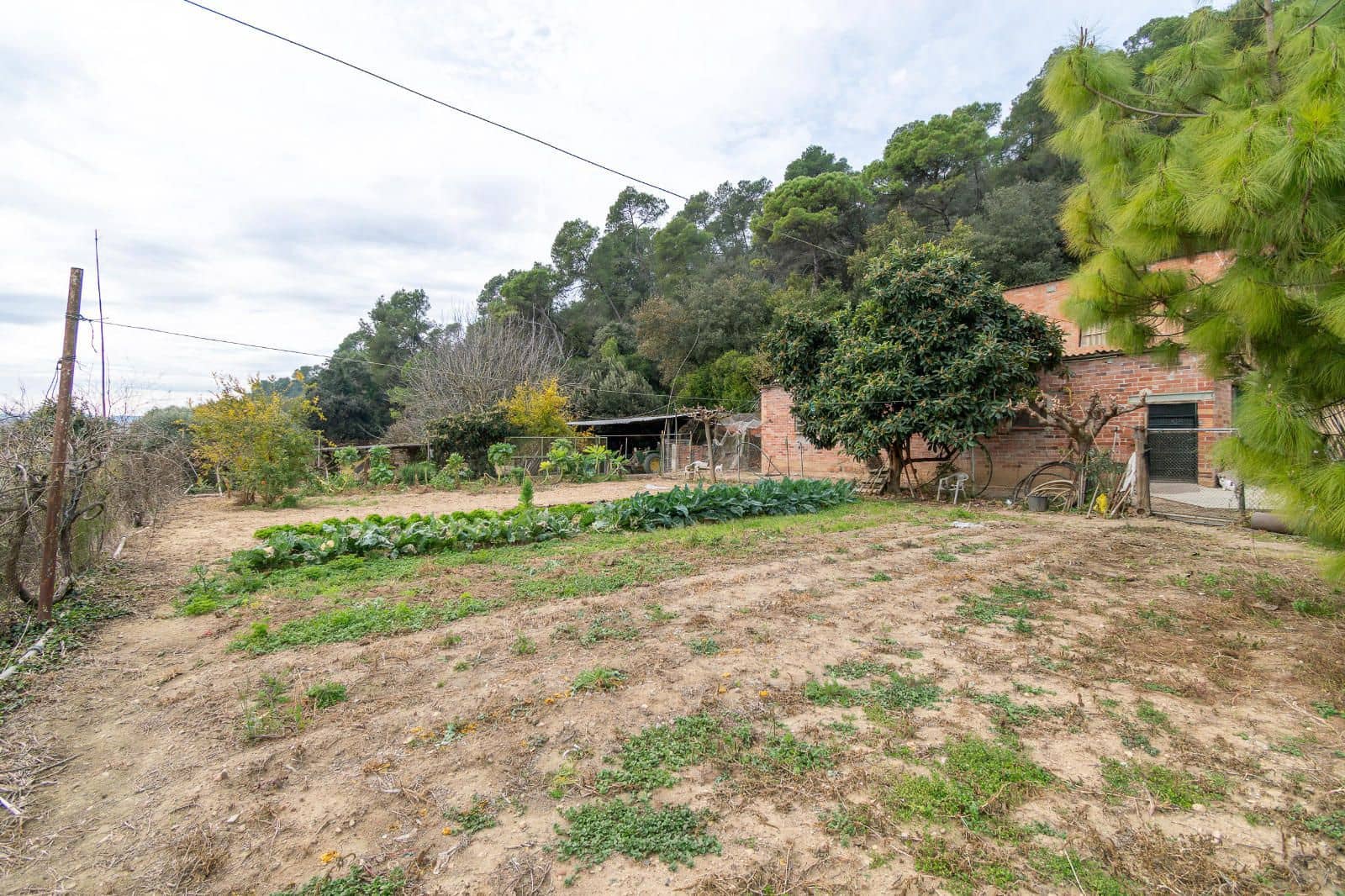 5 chambre Villa/Maison à vendre à Cervia de Ter - 550 000 € (Ref: 9453449)