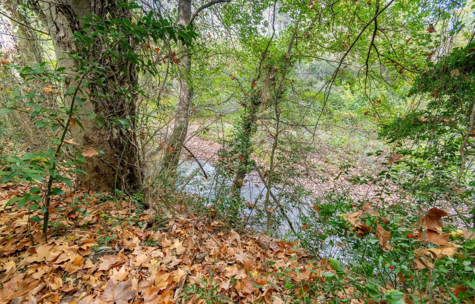 4 bedroom Villa for sale in Sant Llorenc de la Muga with garage - € 385,000 (Ref: 9548628)