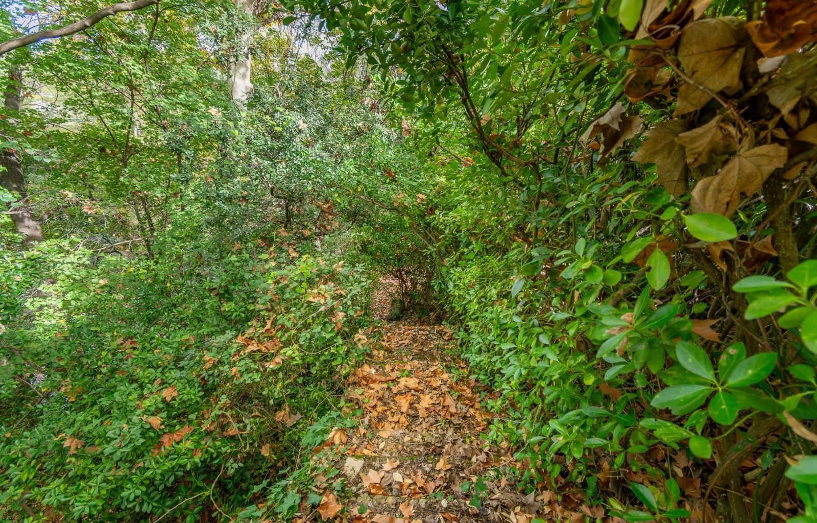 4 sypialnia Willa na sprzedaż w Sant Llorenc de la Muga z garażem - 370 000 € (Ref: 9879390)