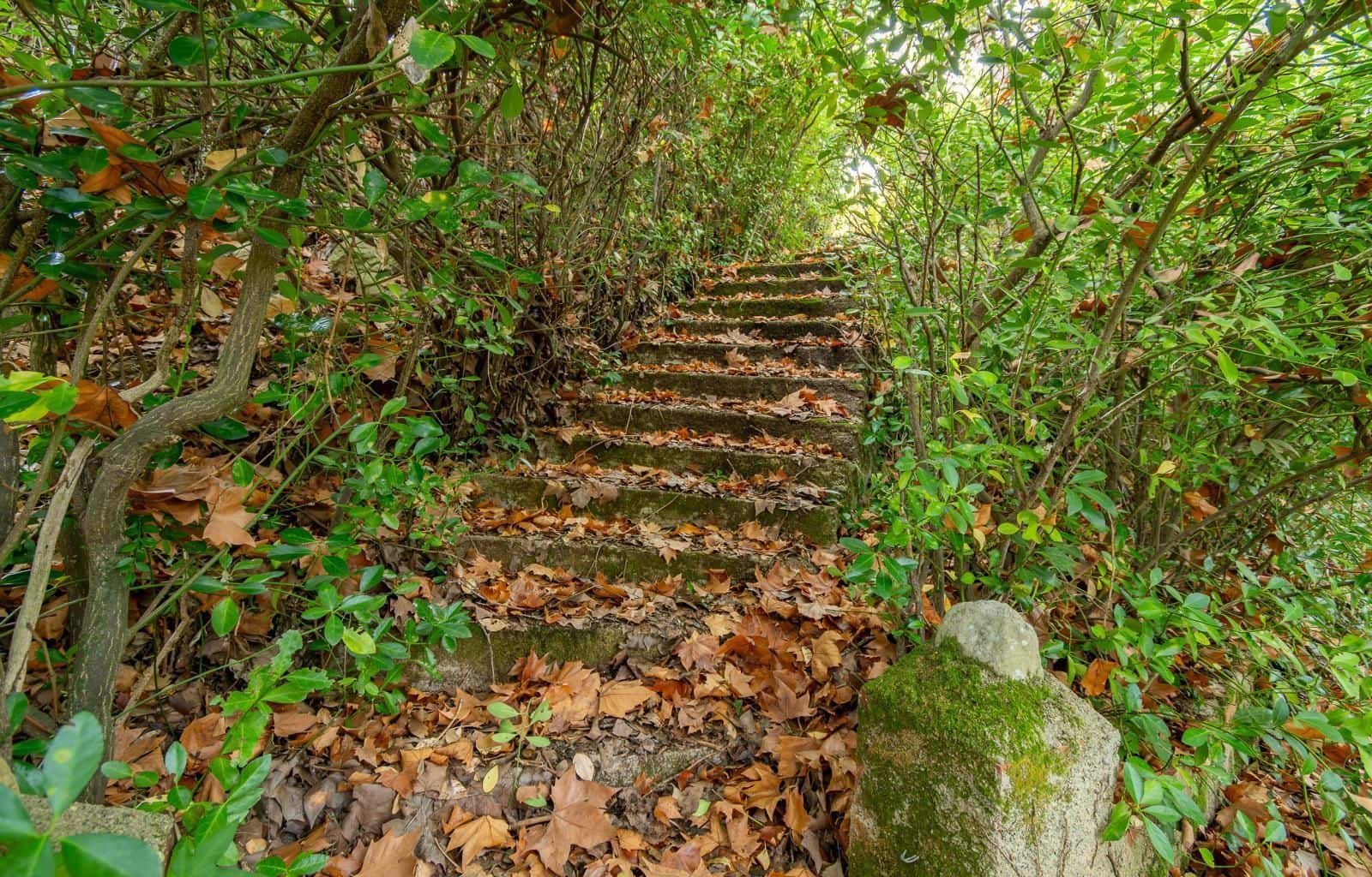 4 sypialnia Willa na sprzedaż w Sant Llorenc de la Muga z garażem - 370 000 € (Ref: 9879390)