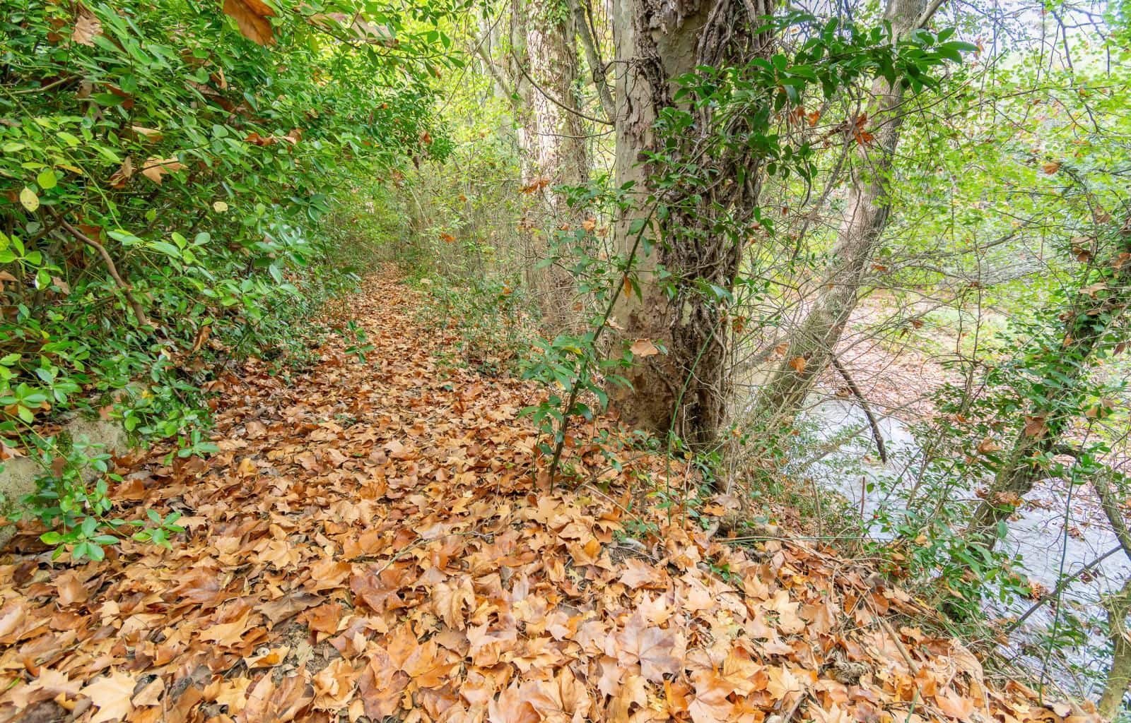 4 sypialnia Willa na sprzedaż w Sant Llorenc de la Muga z garażem - 370 000 € (Ref: 9879390)