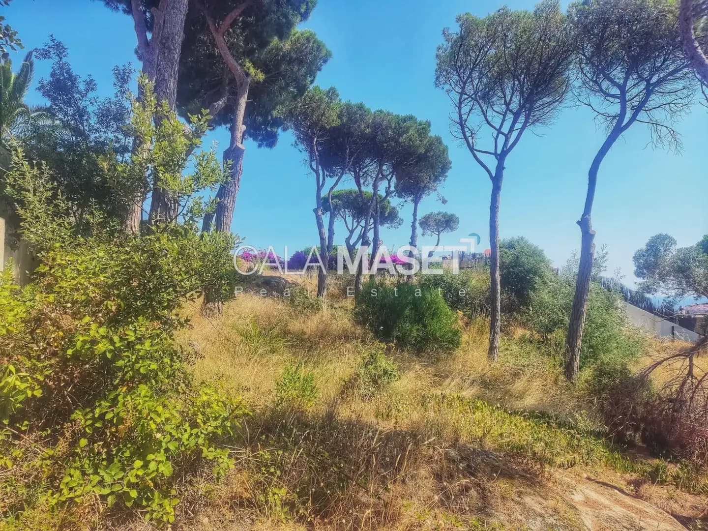 Area Edificabile in vendita in Sant Feliu de Guixols - 425.000 € (Rif: 9890850)