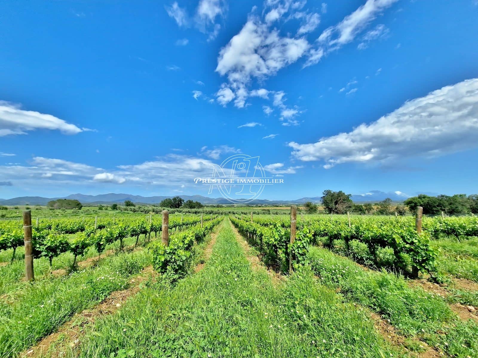 2 makuuhuone Maalaistalo myytävänä paikassa Masarac mukana uima-altaan - 975 000 € (Ref: 9263644)