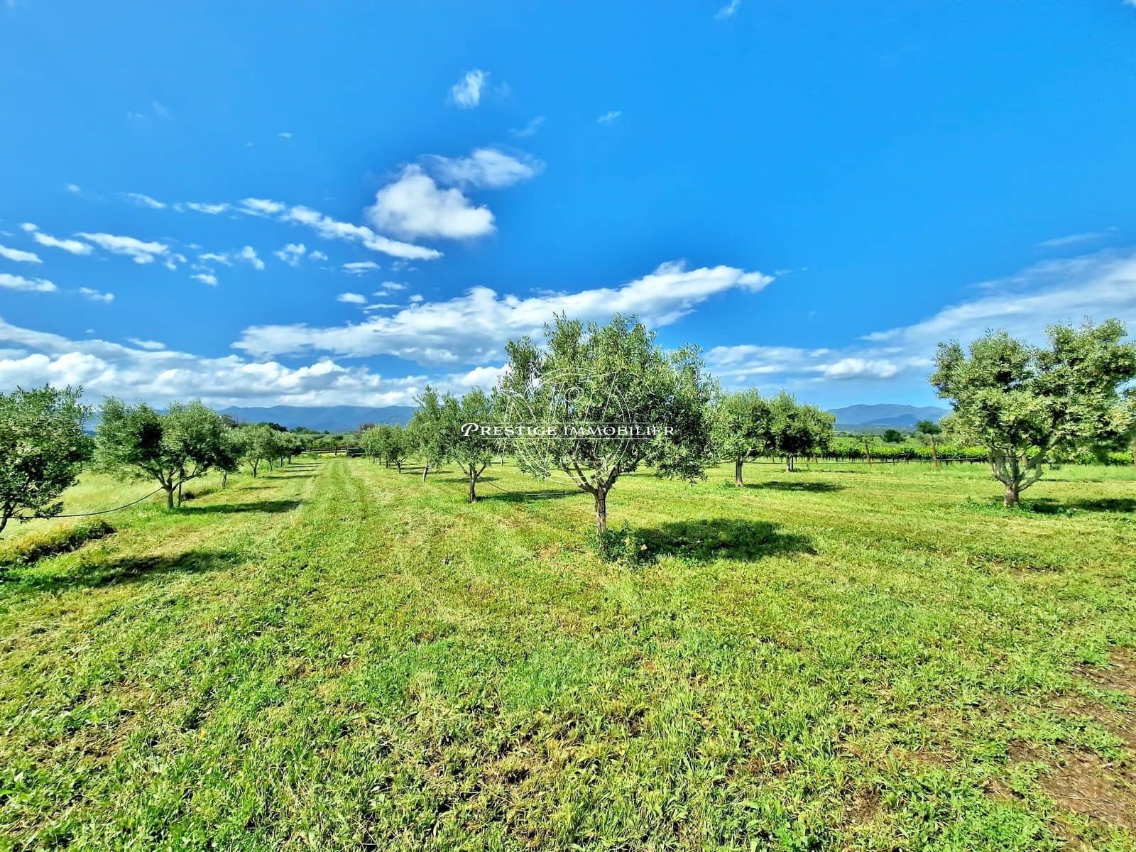 2 makuuhuone Maalaistalo myytävänä paikassa Masarac mukana uima-altaan - 975 000 € (Ref: 9263644)