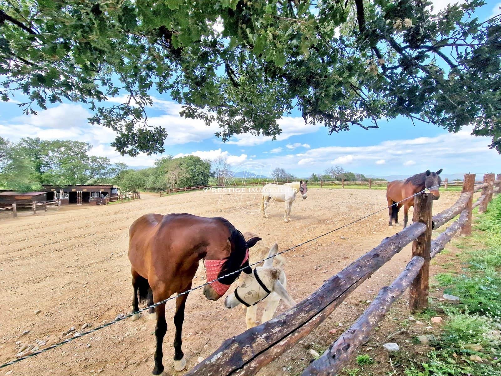 2 makuuhuone Maalaistalo myytävänä paikassa Masarac mukana uima-altaan - 975 000 € (Ref: 9263644)