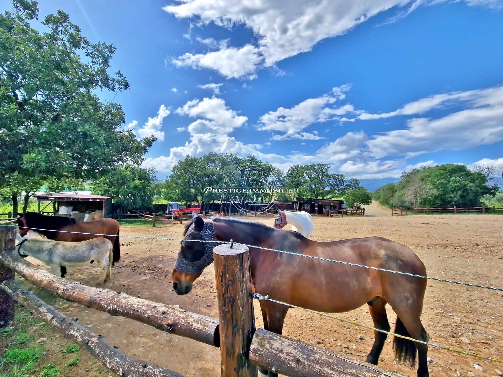 2 makuuhuone Maalaistalo myytävänä paikassa Masarac mukana uima-altaan - 975 000 € (Ref: 9263644)