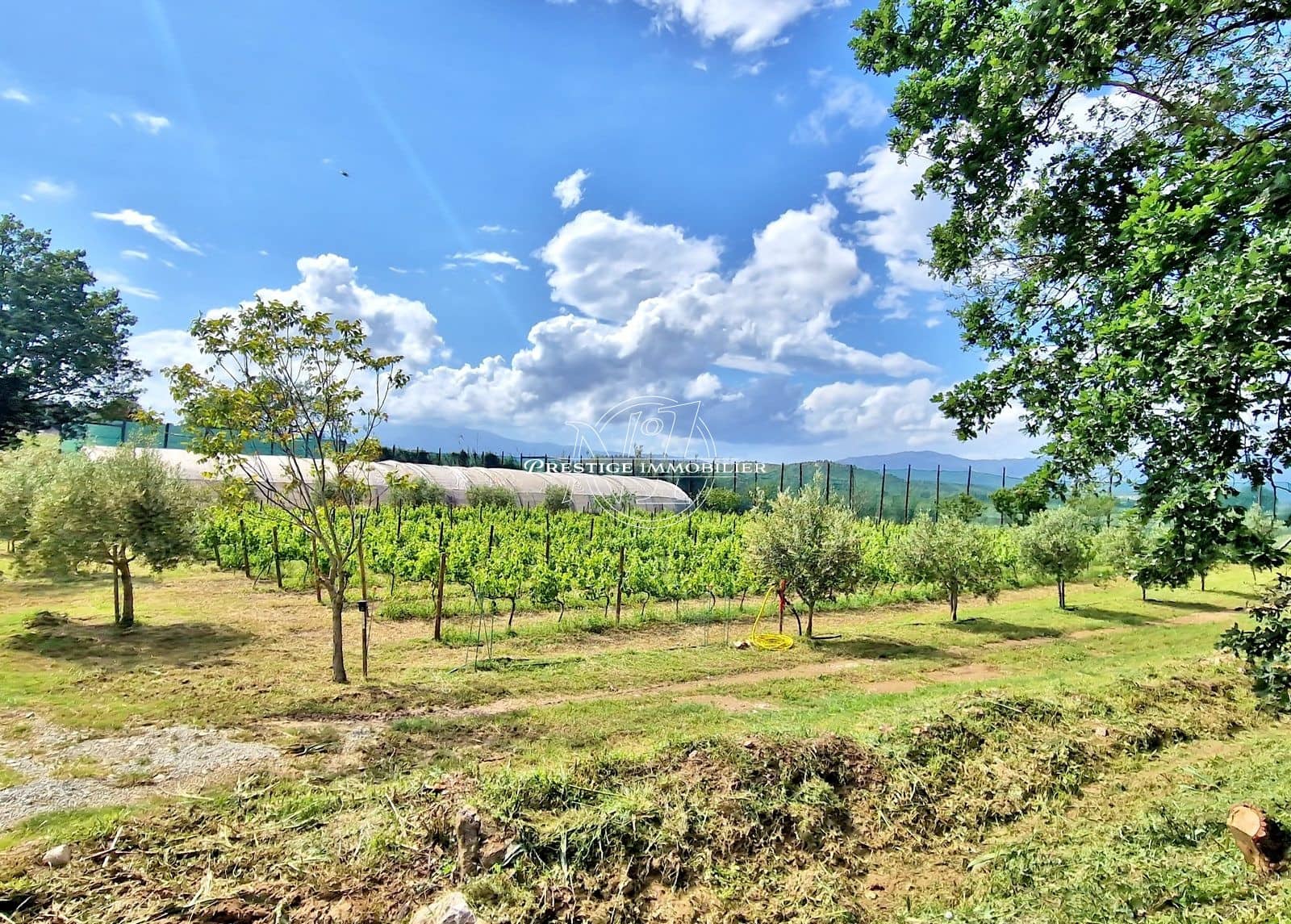 2 makuuhuone Maalaistalo myytävänä paikassa Masarac mukana uima-altaan - 975 000 € (Ref: 9263644)