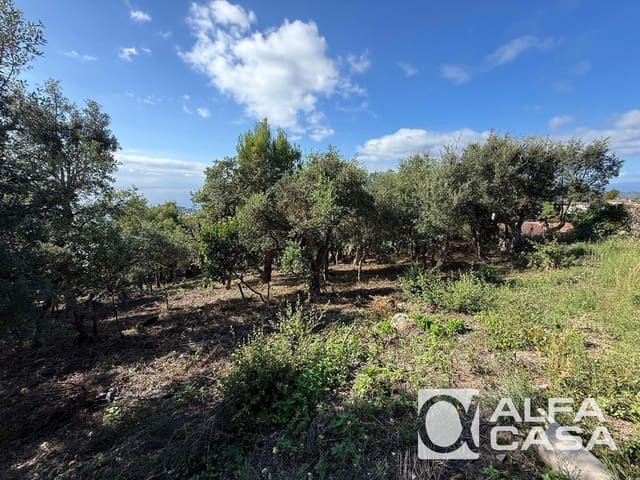 Tomt till salu i Lloret de Mar - 250 000 € (Ref: 9385827)