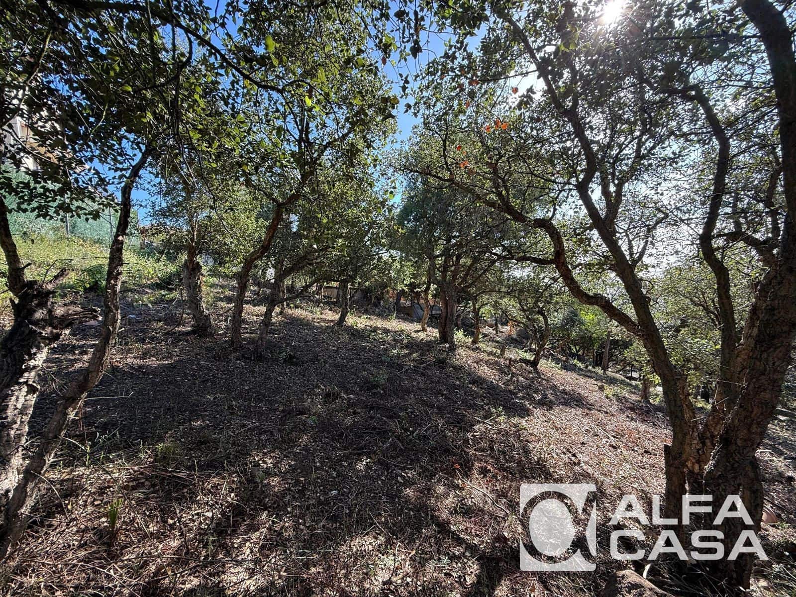 Byggetomt til salgs i Lloret de Mar - € 250 000 (Ref: 9385827)