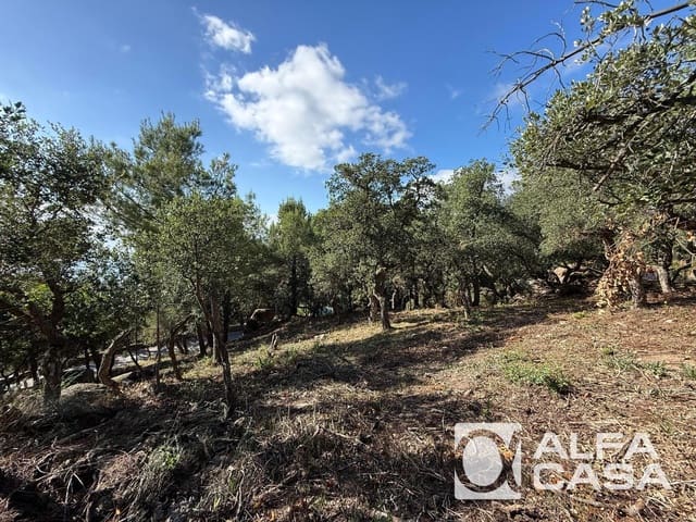 Tomt till salu i Lloret de Mar - 250 000 € (Ref: 9385827)