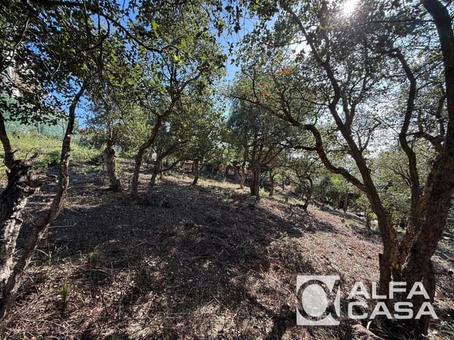 Tomt till salu i Lloret de Mar - 250 000 € (Ref: 9385827)