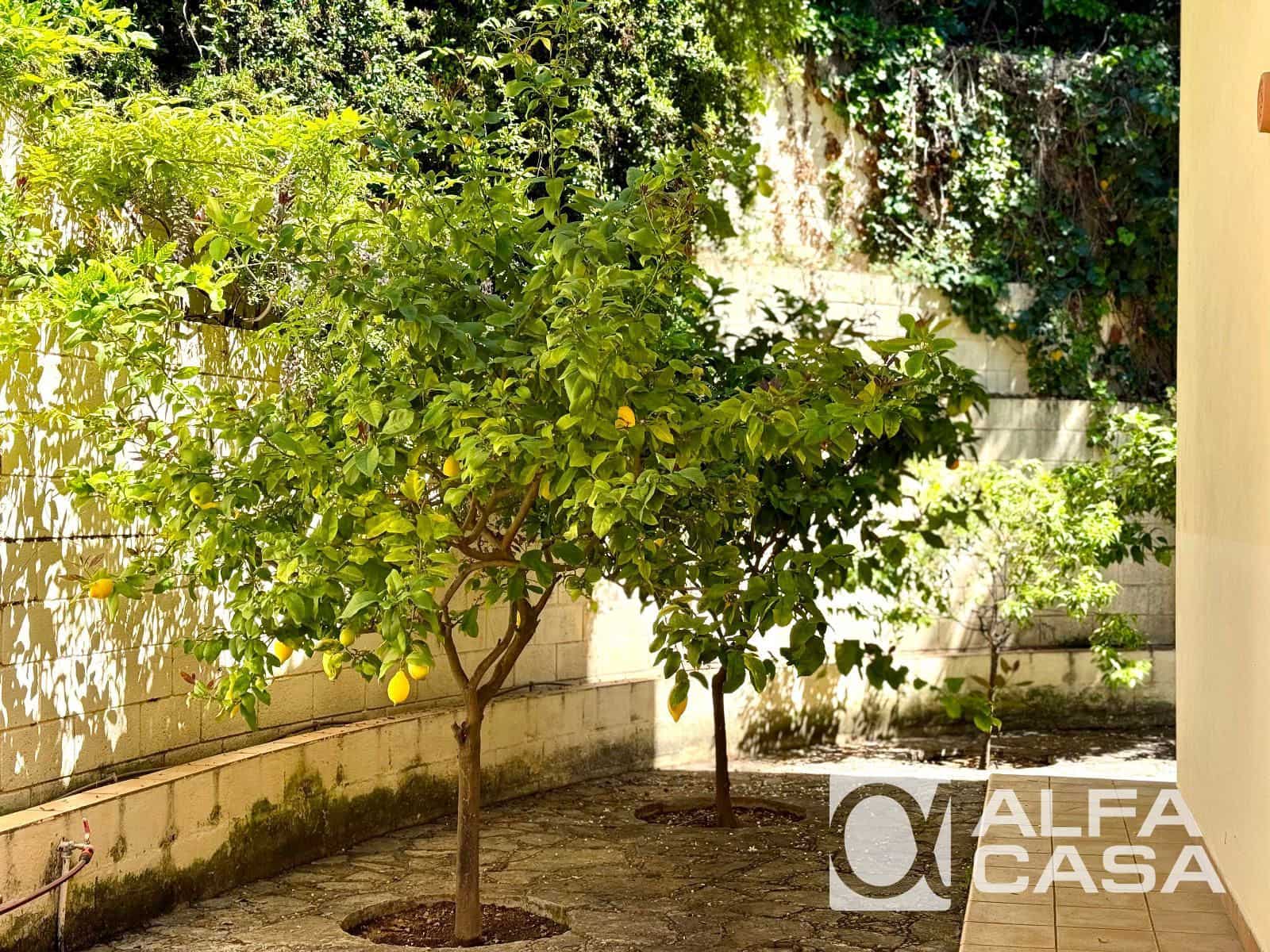 3 bedroom Villa for rent in Blanes with pool garage - € 2,700 (Ref: 9385849)