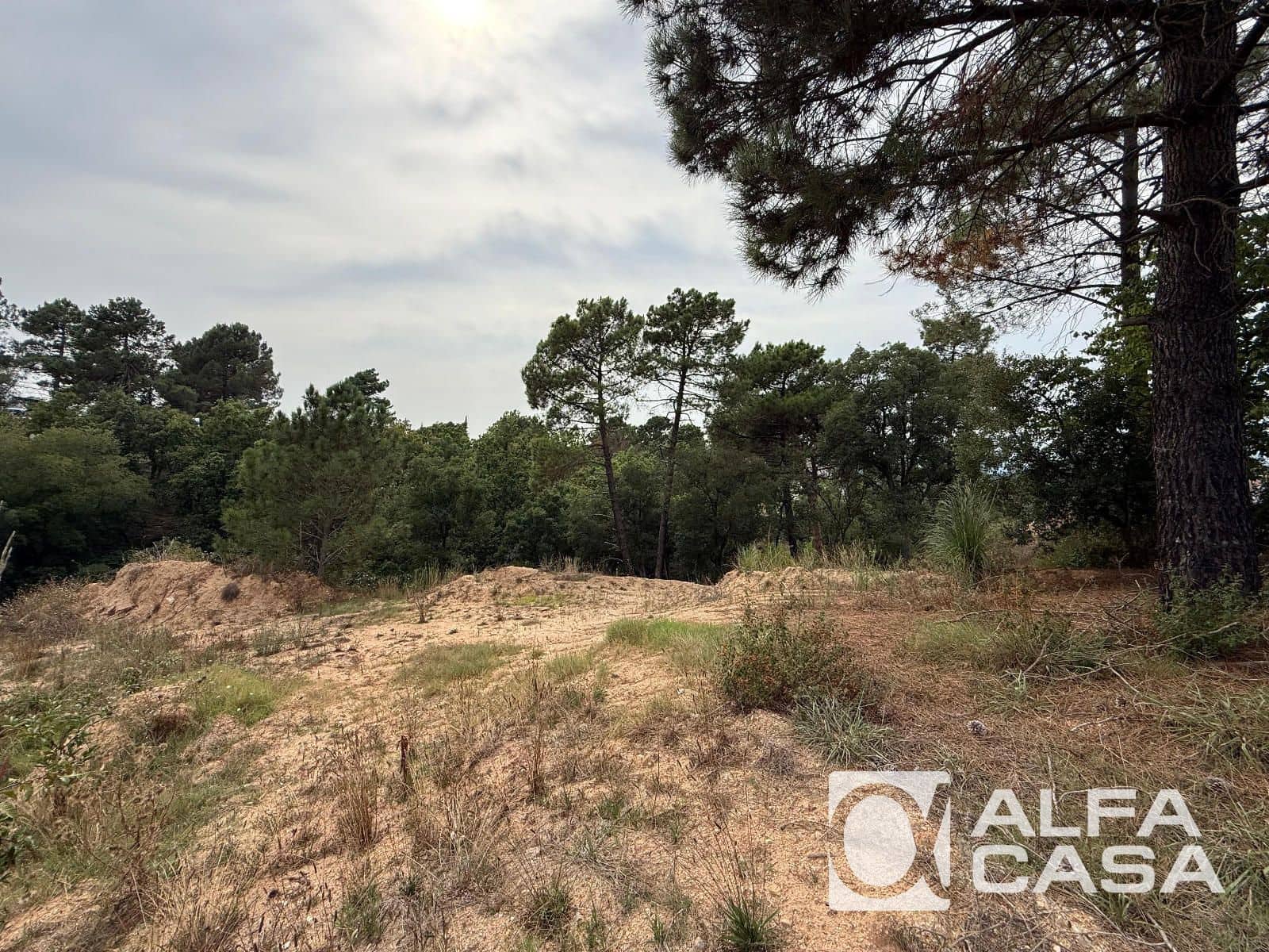 Area Edificabile in vendita in Vidreres - 35.000 € (Rif: 9385859)