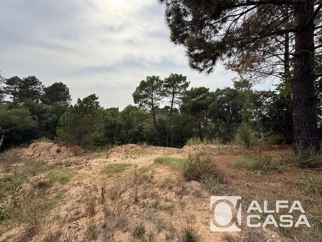 Area Edificabile in vendita in Vidreres - 35.000 € (Rif: 9385859)