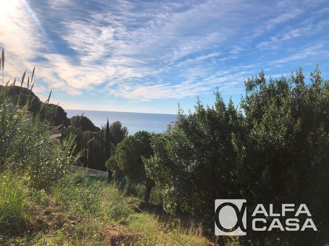 Building Plot for sale in Calella - € 249,000 (Ref: 9385895)