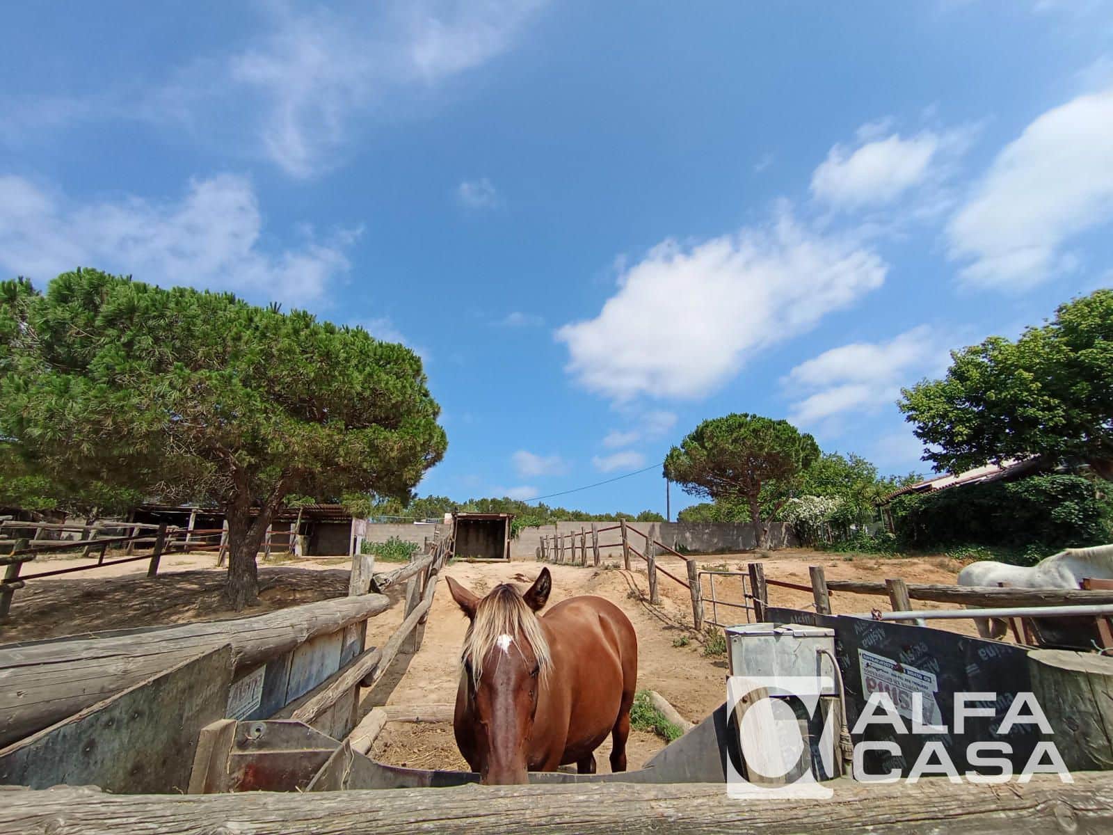 4 soverom Villa til salgs i Tordera med svømmebasseng garasje - € 850 000 (Ref: 9385907)