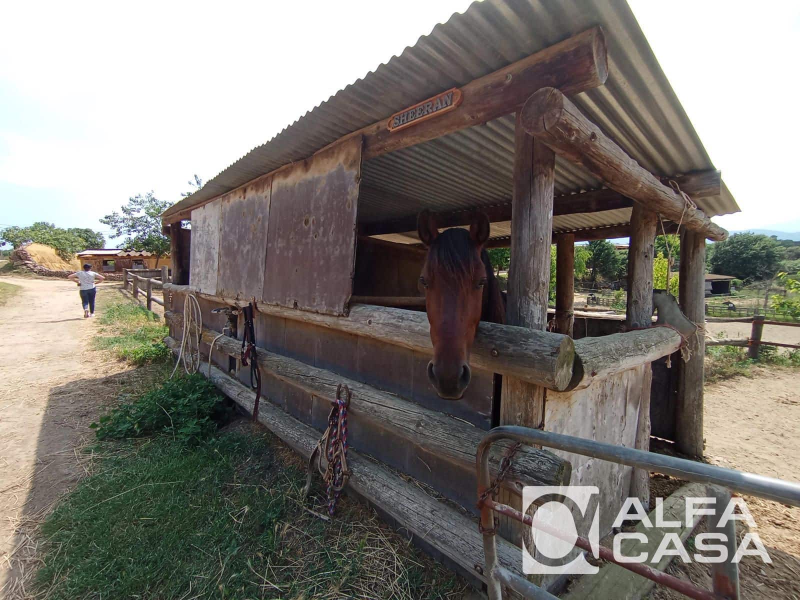 4 soverom Villa til salgs i Tordera med svømmebasseng garasje - € 850 000 (Ref: 9385907)