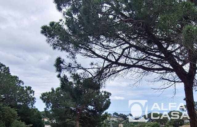 Building Plot for sale in Lloret de Mar - € 32,000 (Ref: 9385912)