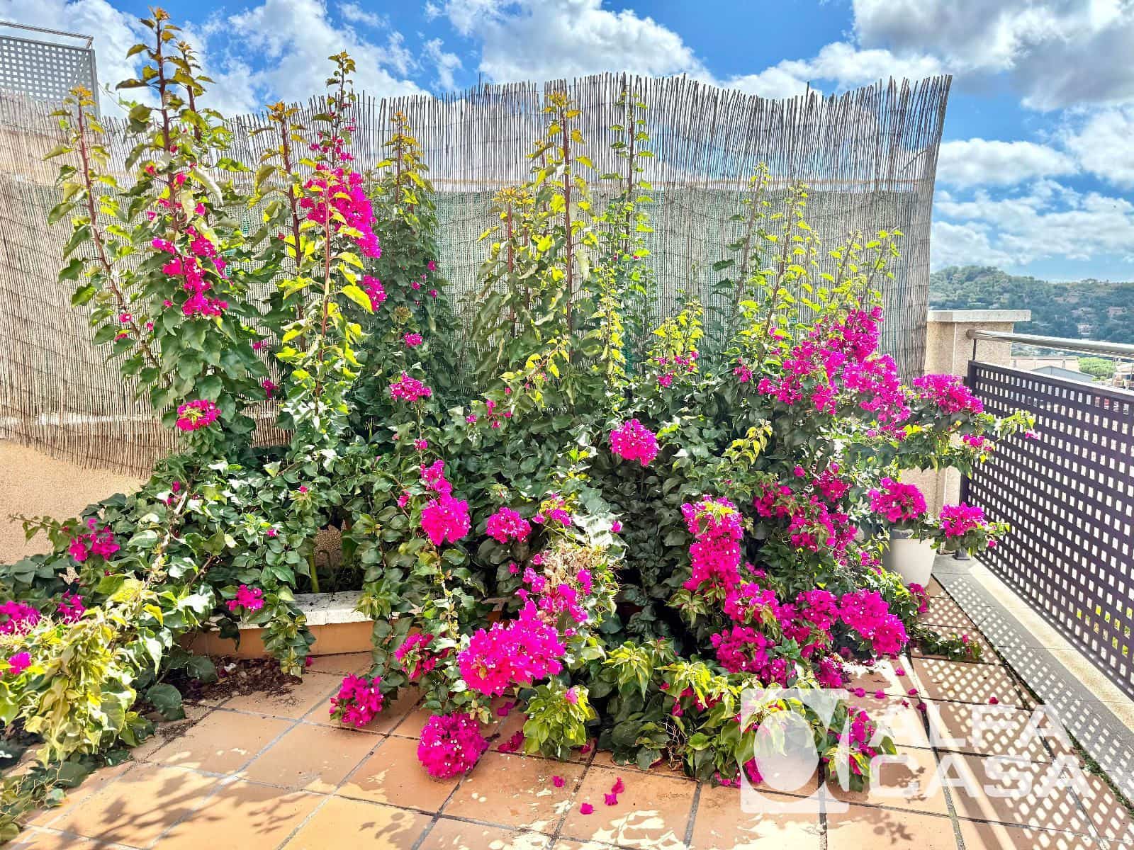 4 Zimmer Villa zu verkaufen in Lloret de Mar - 225.000 € (Ref: 9914637)
