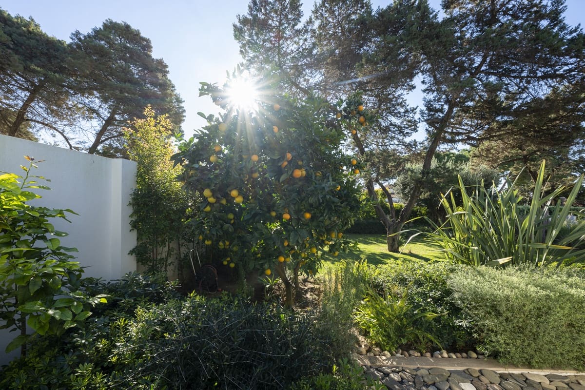 3 sovrum Villa till salu i Marbesa med pool garage - 1 995 000 € (Ref: 9650921)