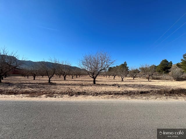 Mark till salu i Villena - 99 000 € (Ref: 8686535)