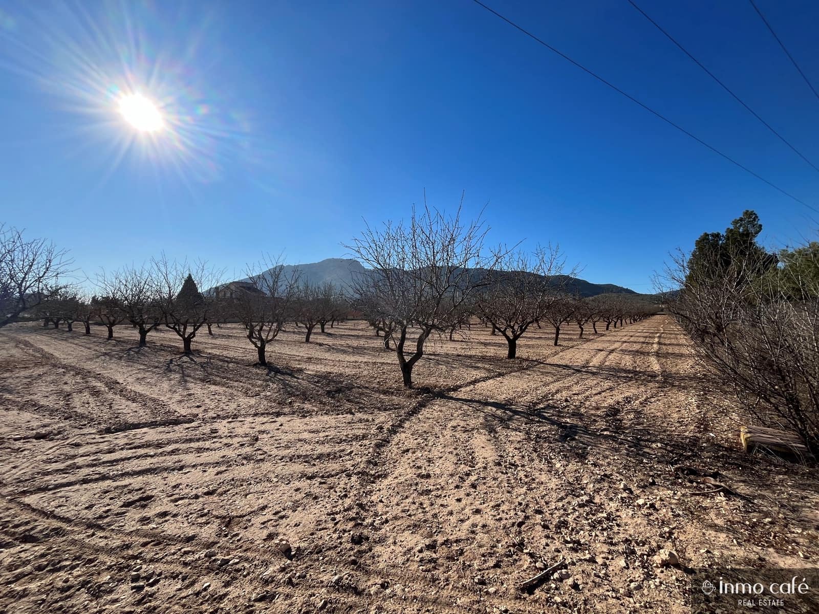 Ubebygd land til salgs i Villena - € 99 000 (Ref: 8686535)