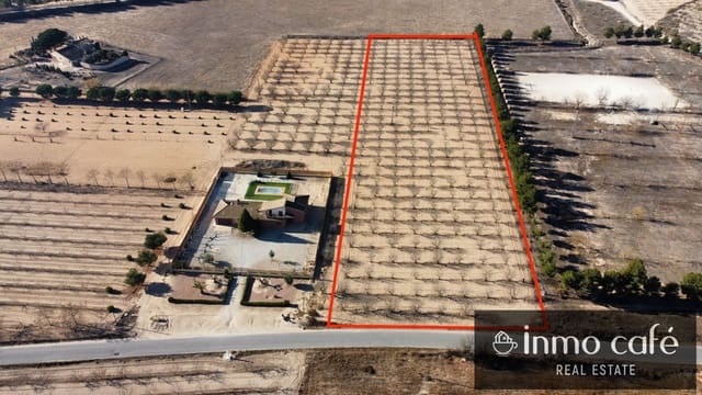 Terre non Aménagée à vendre à Villena - 75 000 € (Ref: 8686535)