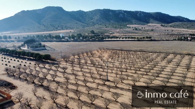 Terre non Aménagée à vendre à Villena - 75 000 € (Ref: 8686535)