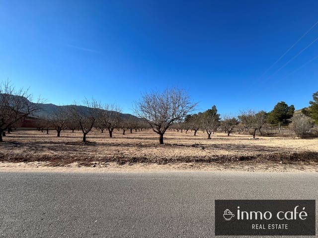 Terre non Aménagée à vendre à Villena - 75 000 € (Ref: 8686535)