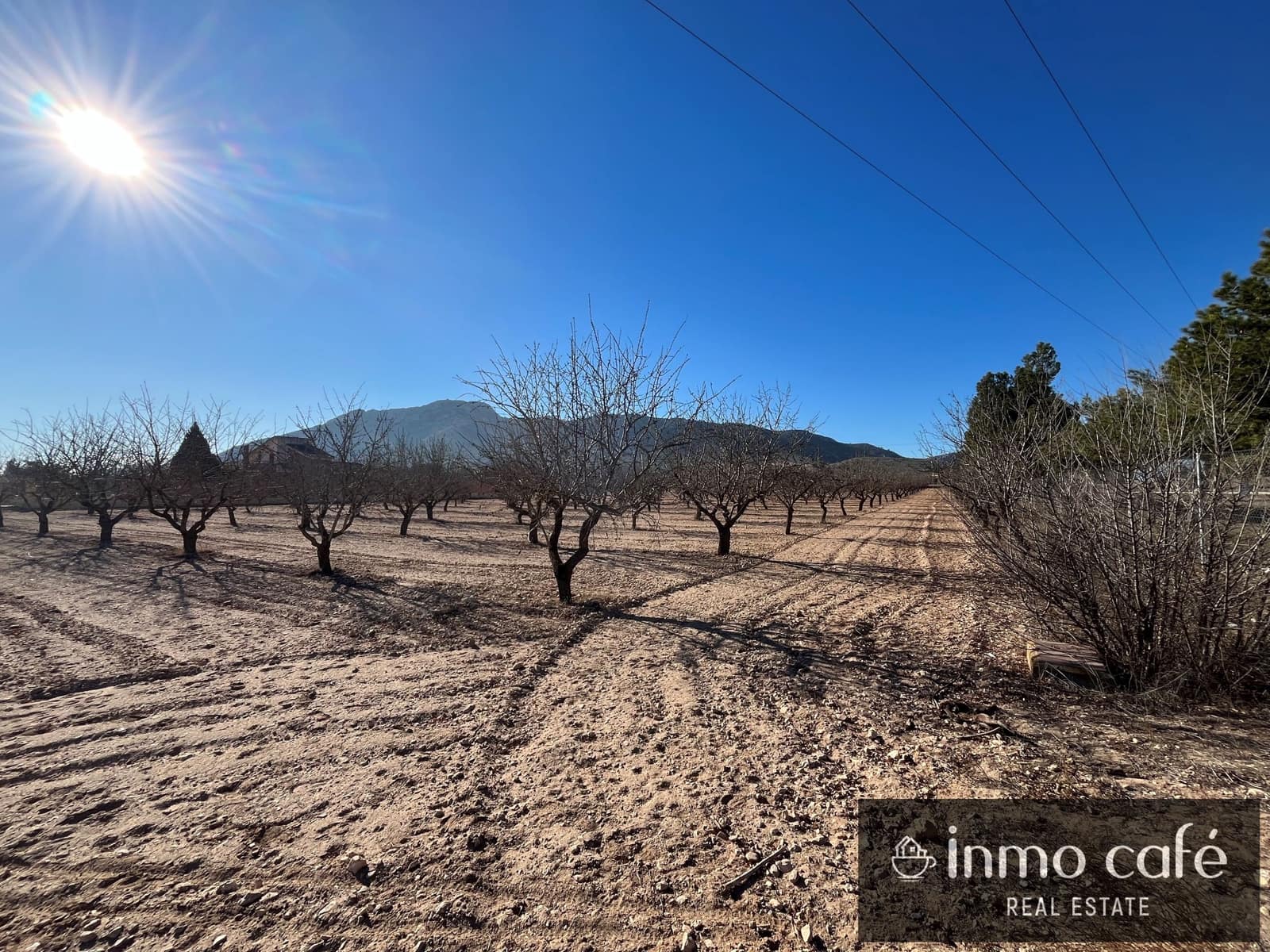 Ubebygd land til salgs i Villena - € 75 000 (Ref: 8686535)